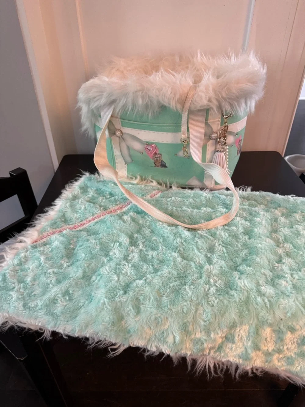 Mint Green Faux Fur Pet Carrier Bag & Matching Blanket